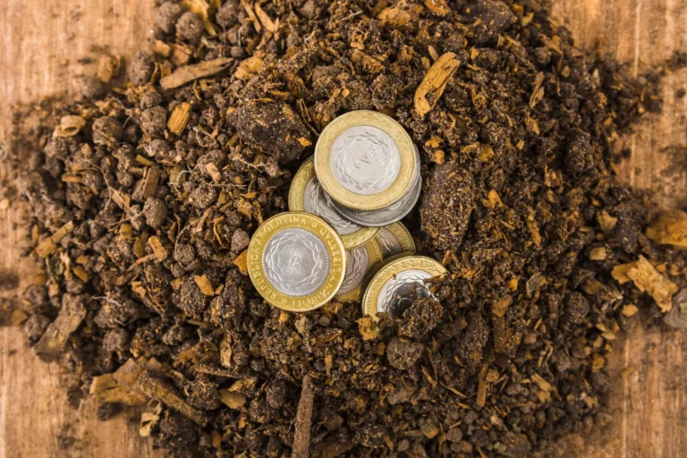 Bioacumulação de Metais