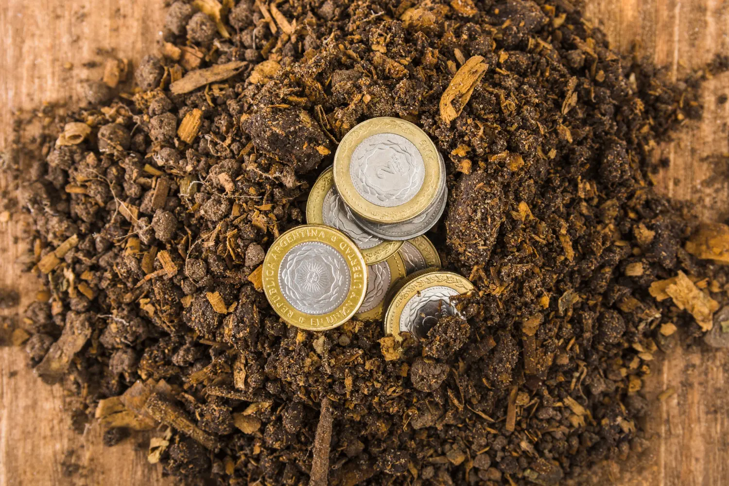 Bioacumulação de Metais