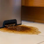 O líquido que escorre da sua composteira pode ser um bioestimulante poderoso ou um veneno silencioso